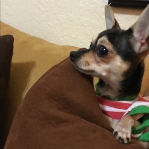 Meet your Posher, Ina